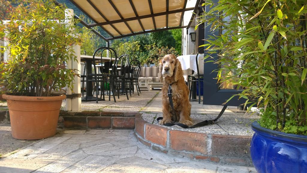 Hotel Cubamia Romano D'Ezzelino Buitenkant foto